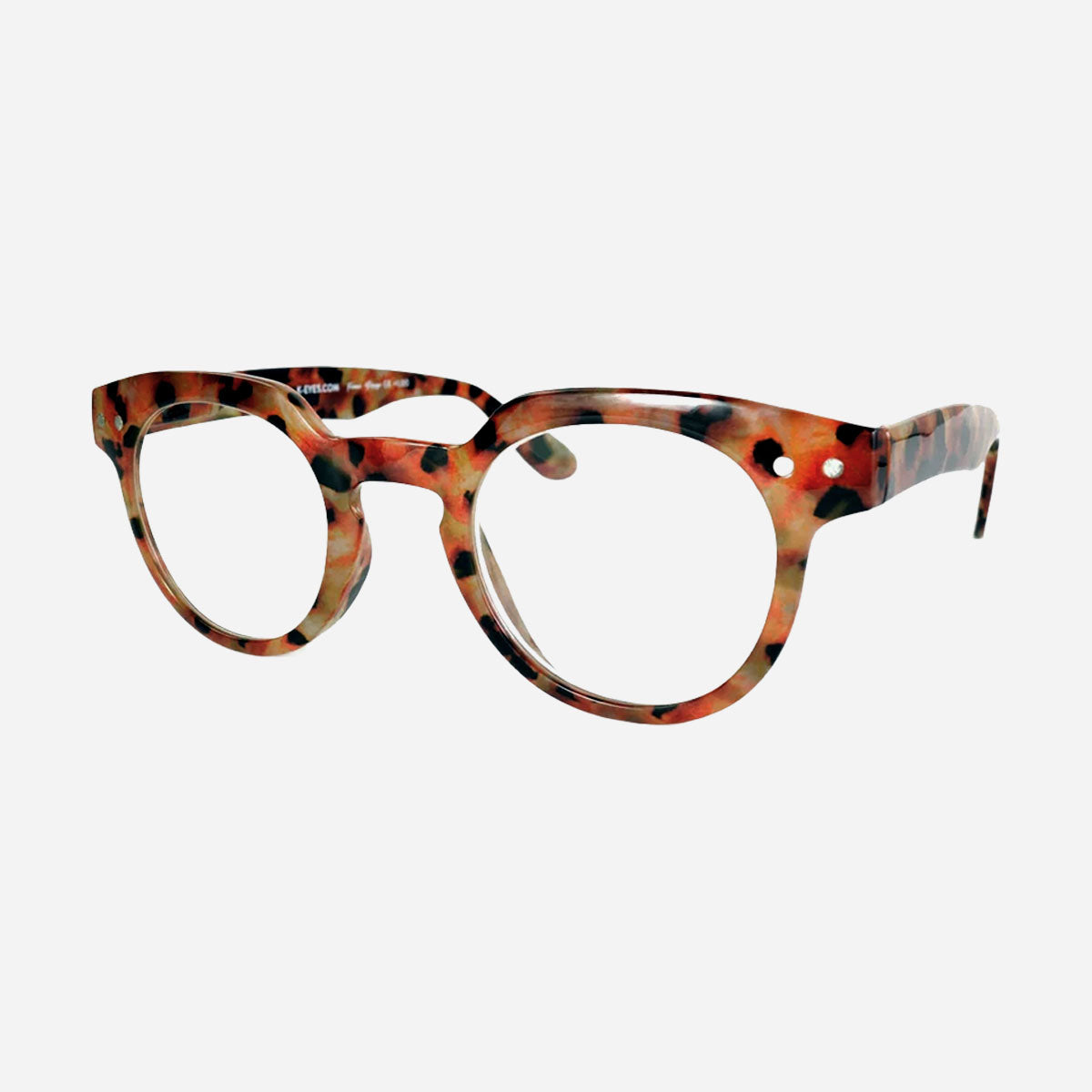 lunette-loupe-lecture-originales-mixte-K26-turtle